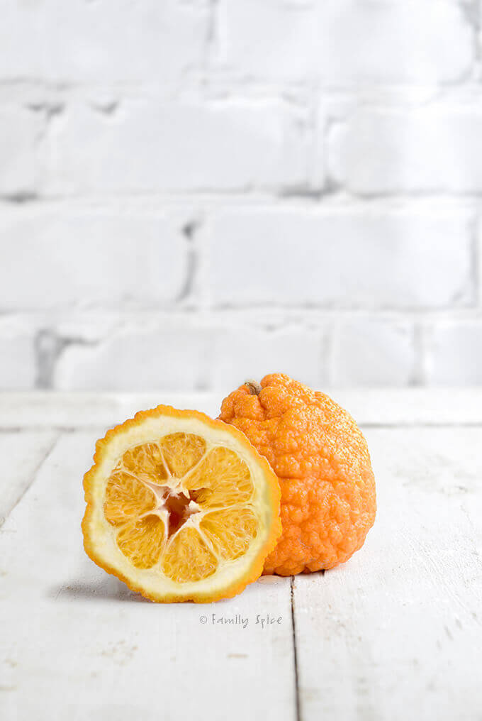 Narenj, sour orange, by FamilySpice.com