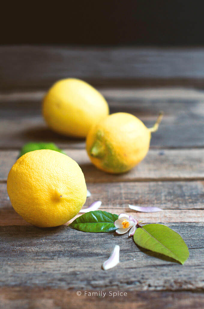 Lemons by FamilySpice.com