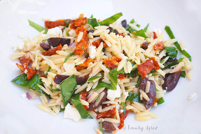 Orzo with Feta and Sundried Tomatoes by FamilySpice.com