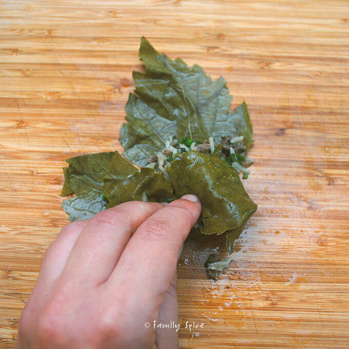 Assembling Persian Stuffed Grape Leaves: Beef and Pomegranate Dolmeh by FamilySpice.com