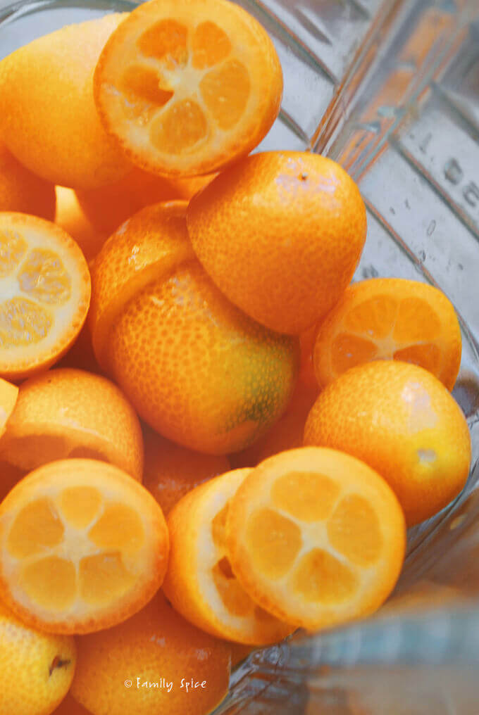 Kumquats in Blender by FamilySpice.com