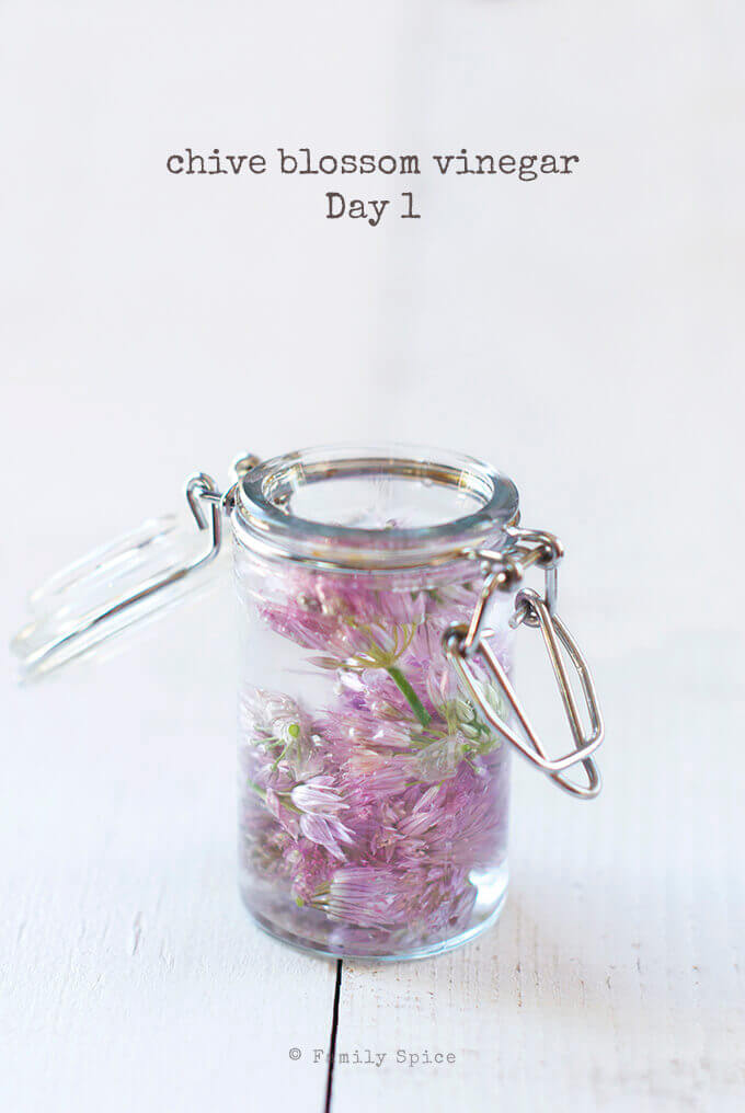 How to Make Herb Infused Vinegars, like this Chive Blossom Vinegar by FamilySpice.com