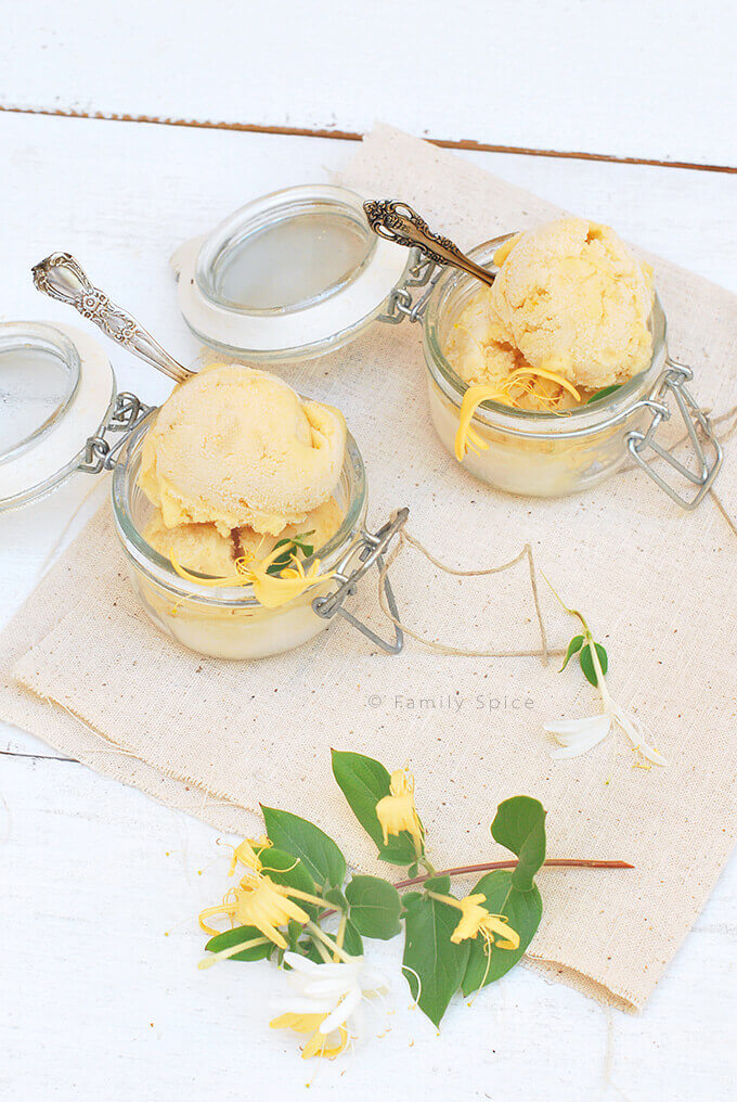 White Apricot Sorbet with Honeysuckle by FamilySpice.com (Angelcot Sorbet)