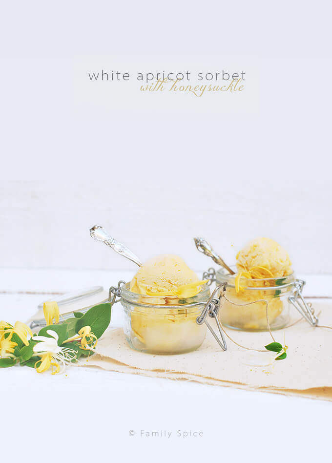 White Apricot Sorbet with Honeysuckle by FamilySpice.com (Angelcot Sorbet)