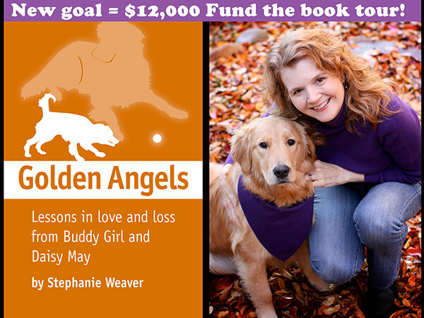 Golden Angels Kickstarter Campaign