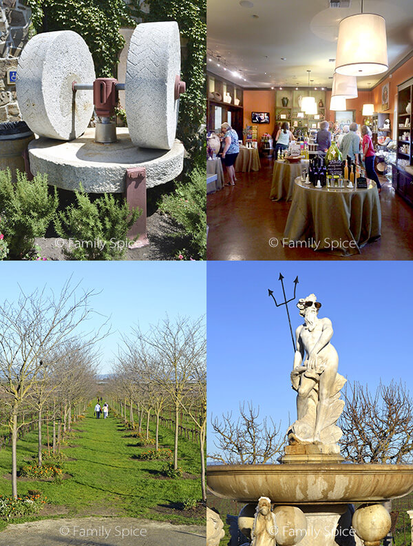 Things to Do in Napa with Kids: The Olive Press by FamilySpice.com