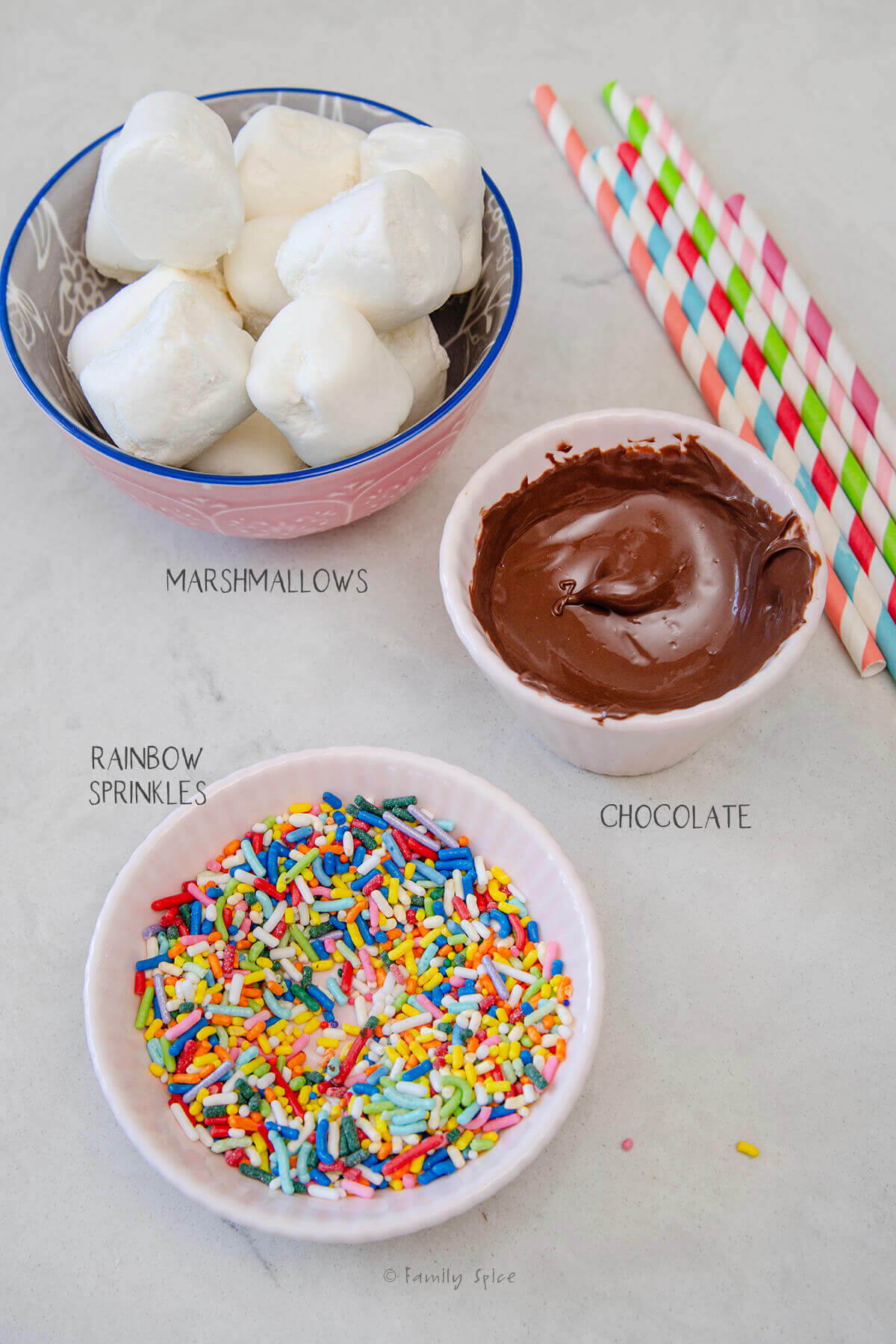 Ingredients labeled and needed to make chocolate covered marshmallows with rainbow sprinkles.