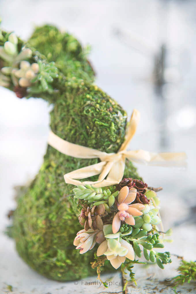 DIY Moss Covered Succulent Bunnies for Spring -- by FamilySpice.com