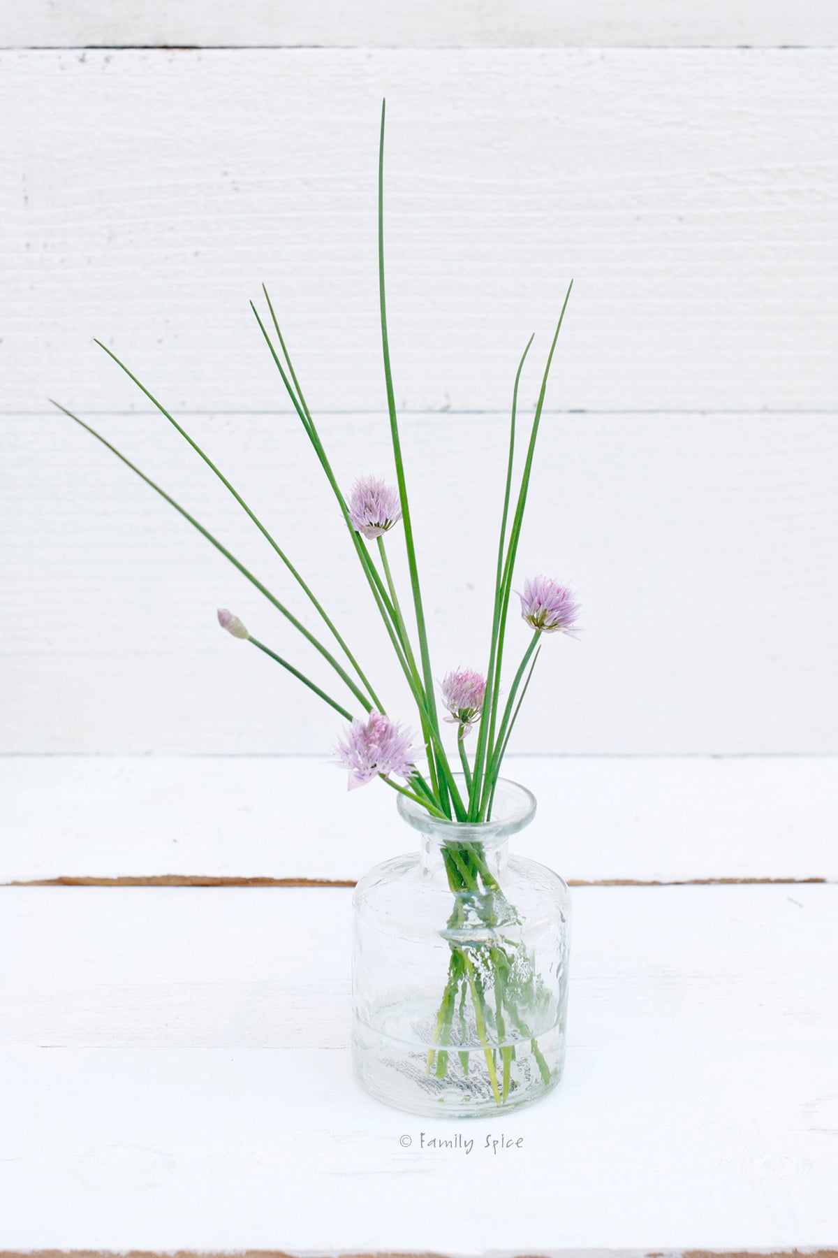 Chives and chive blossoms in a glass jar on a white background.