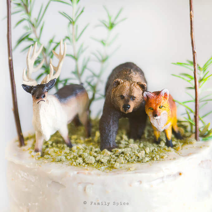 Woodland Cake with Cream Cheese Frosting by FamilySpice.com