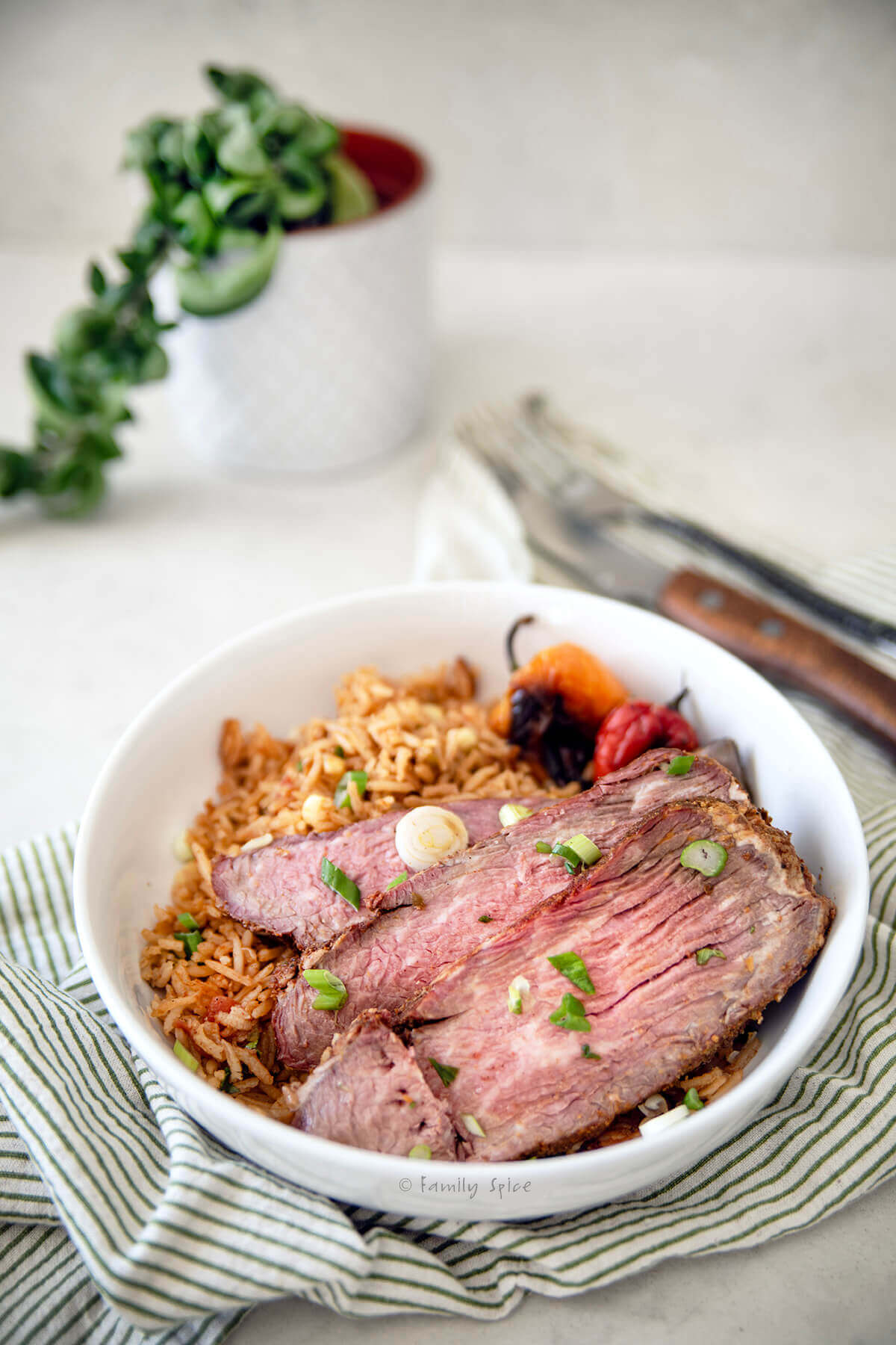 Closeup of a white dish filled with Spanish rice and slices of tri-tip.
