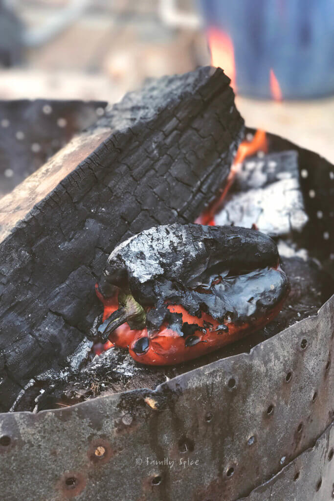 Red bell pepper roasting in campfire