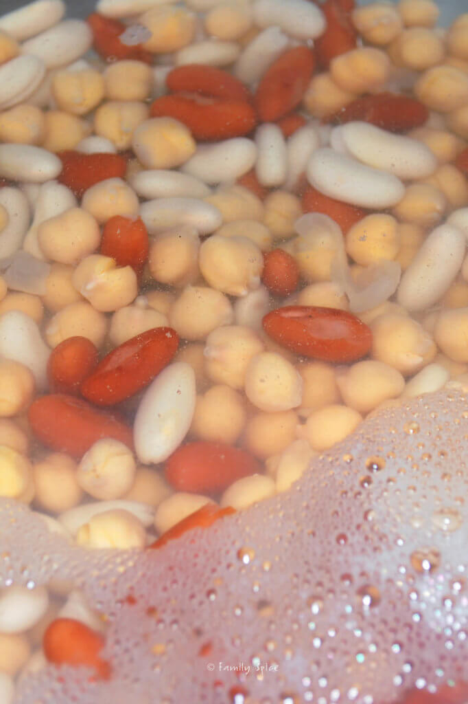 A variety of beans soaking in water