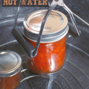 How To Can Using Boiling Water by FamilySpice.com