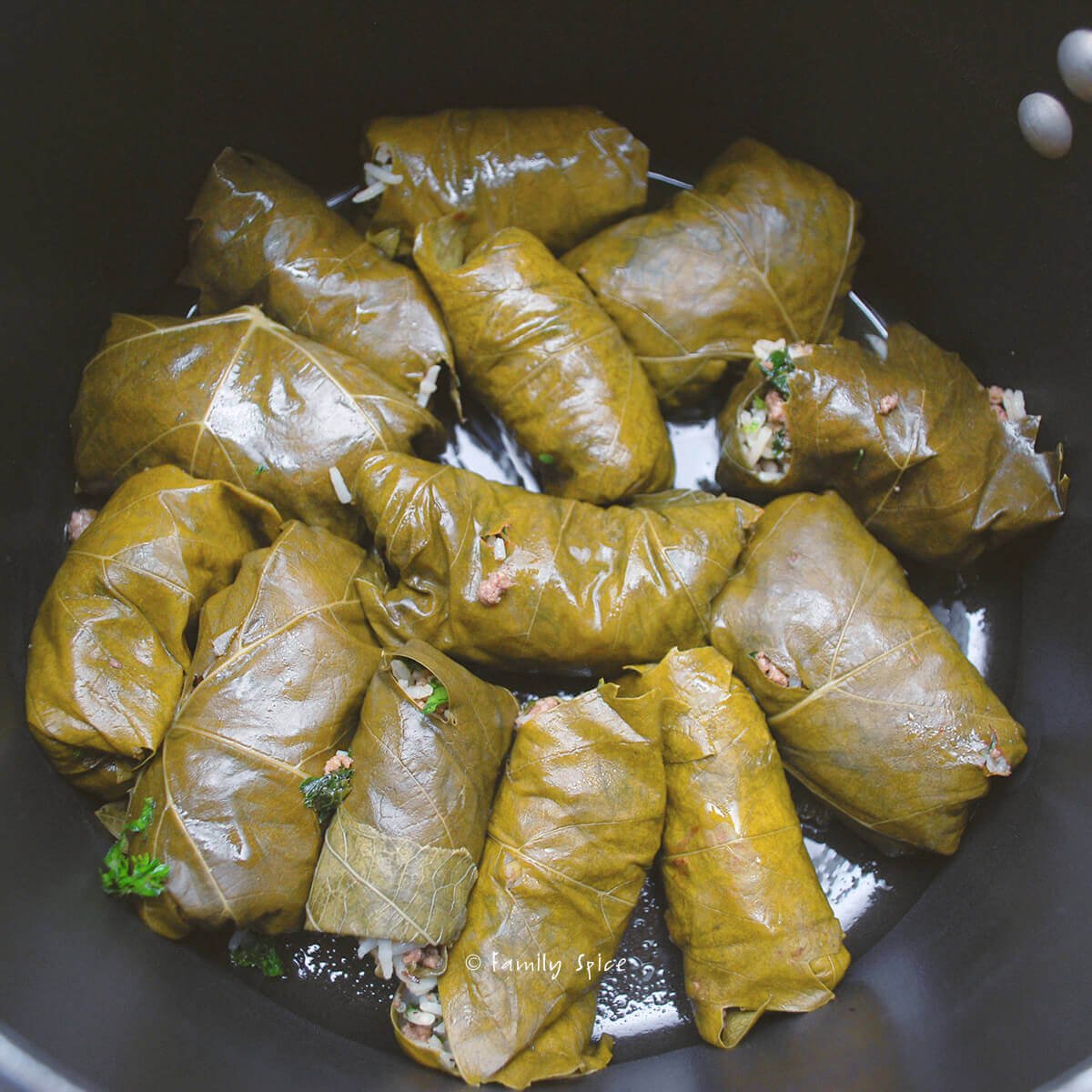 Persian dolmeh (stuffed grape leaves) in a pot ready to be steamed.