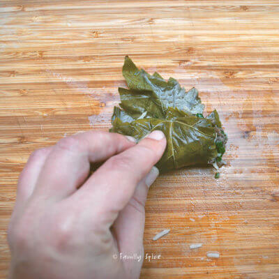 Persian Dolma | Stuffed Grape Leaves with Meat and Pomegranate - Family ...