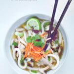 Chicken Udon Noodle Soup with Lemongrass by FamilySpice.com