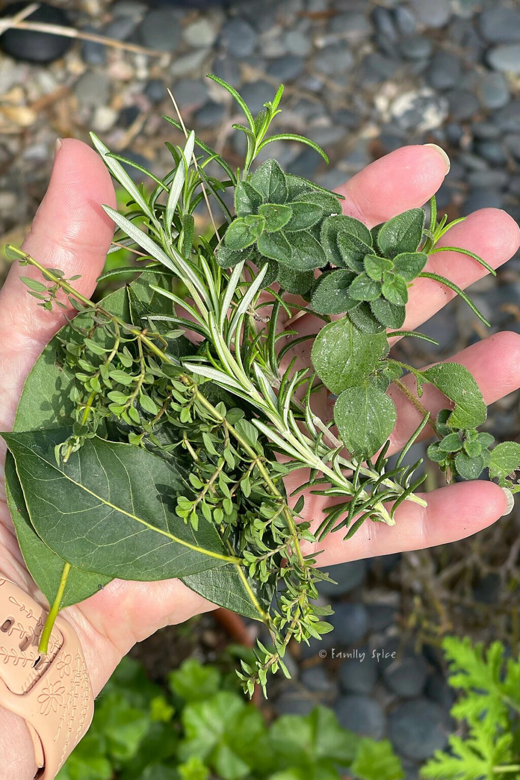 Braised Chuck Roast with Herb Dumplings Family Spice