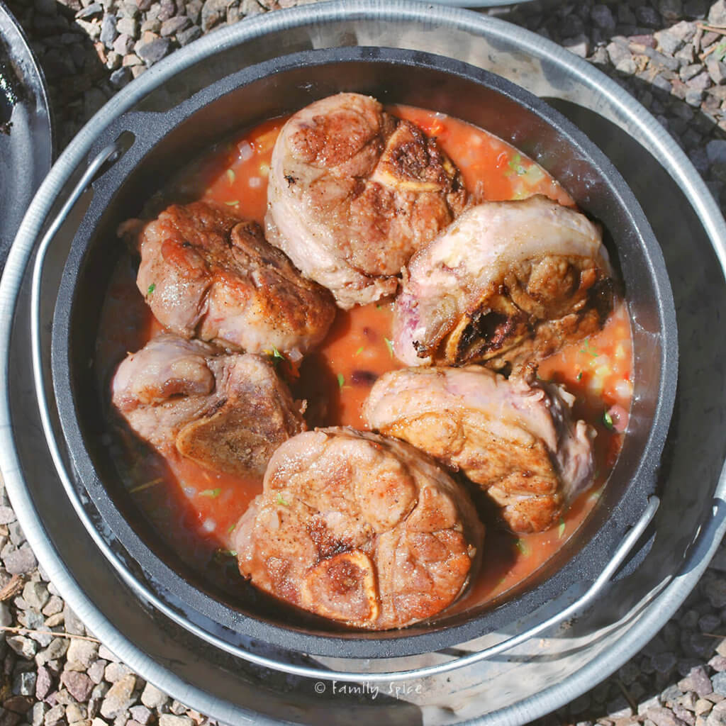 Adding browned veal shanks to tomato base in a dutch oven to make osso buco