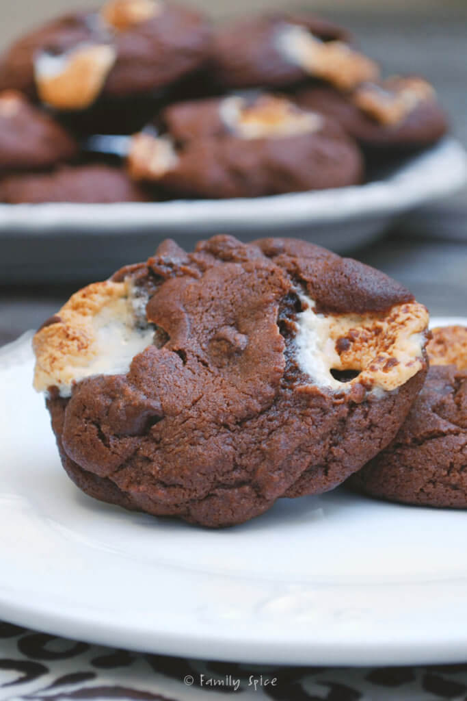 Closeup of double chocolate marshmallow cookies