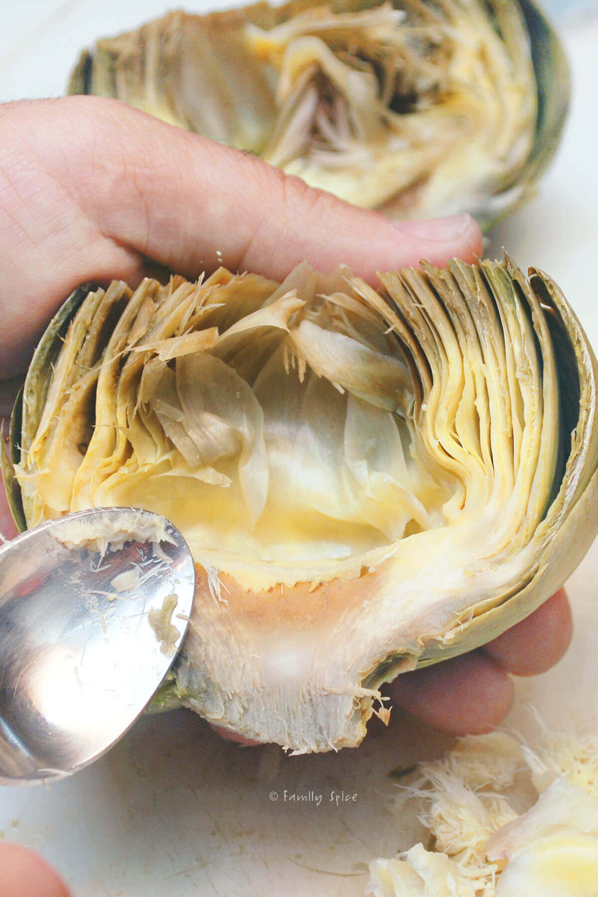 Scooping out the hairy choke from a halved steamed artichoke