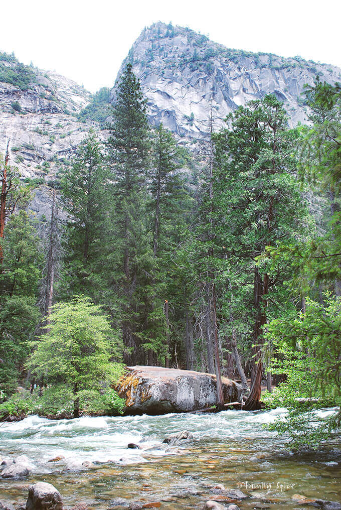 Yosemite, California by FamilySpice.com