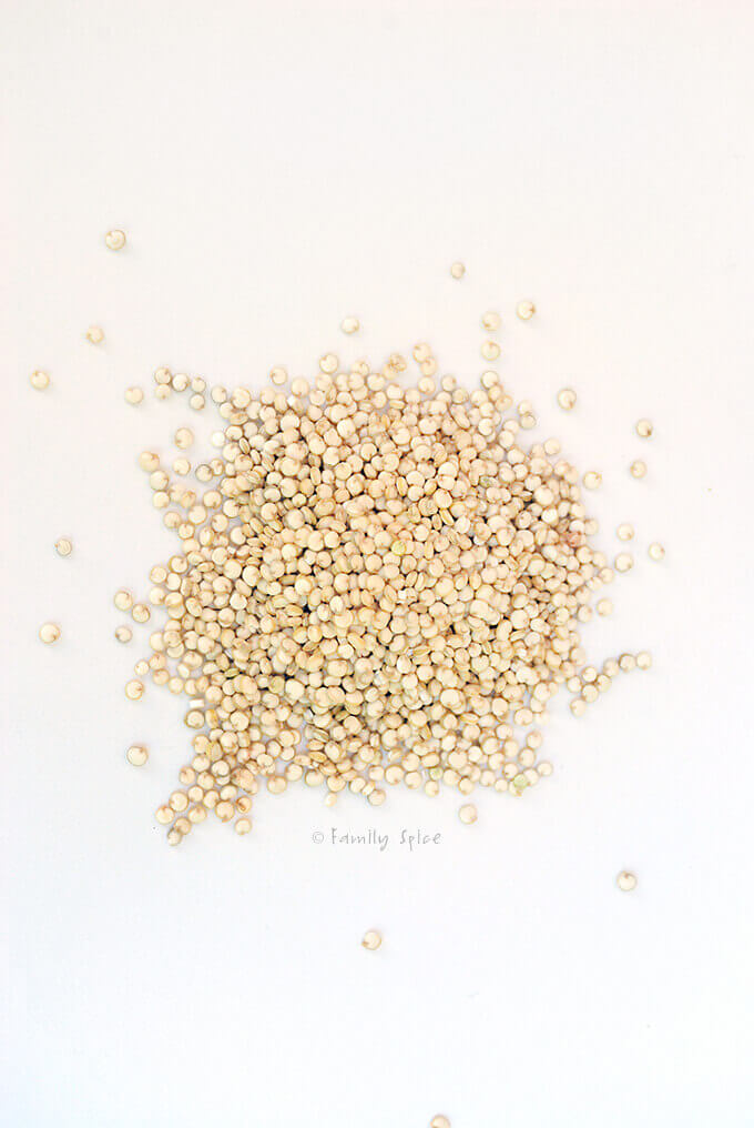 White Quinoa by FamilySpice.com