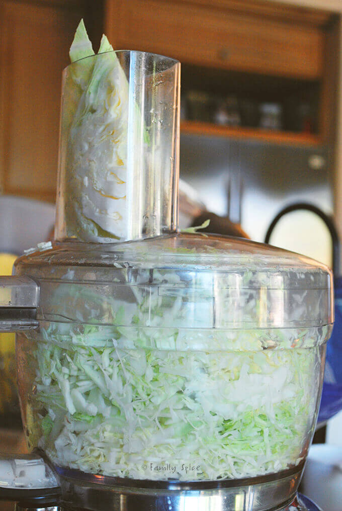 Cabbage shredded in a food processor by FamilySpice.com