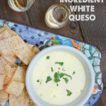 The Easiest 2 Ingredient White Queso by FamilySpice.com