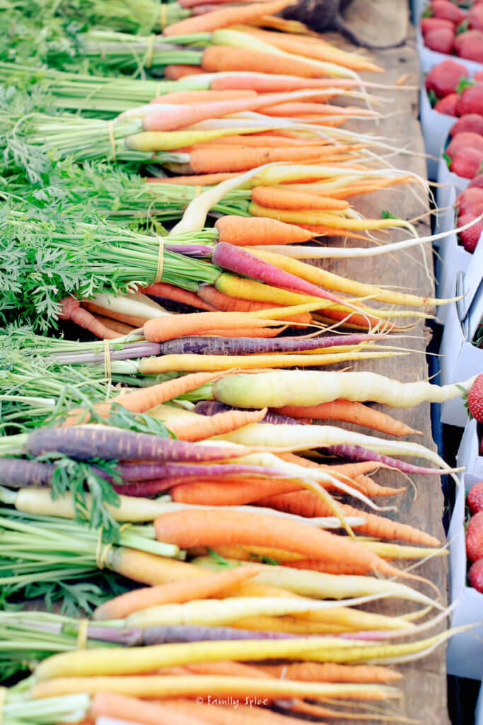 Side view of a lot of colorful carrots at the farmers market
