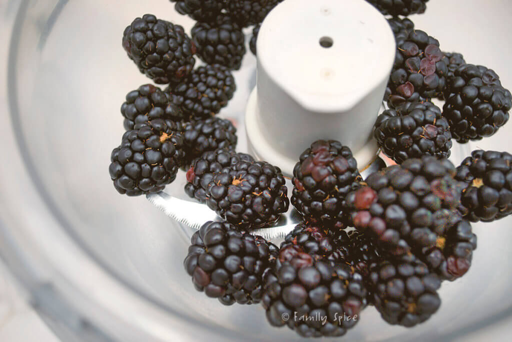 A food processor bowl with fresh blackberries in it