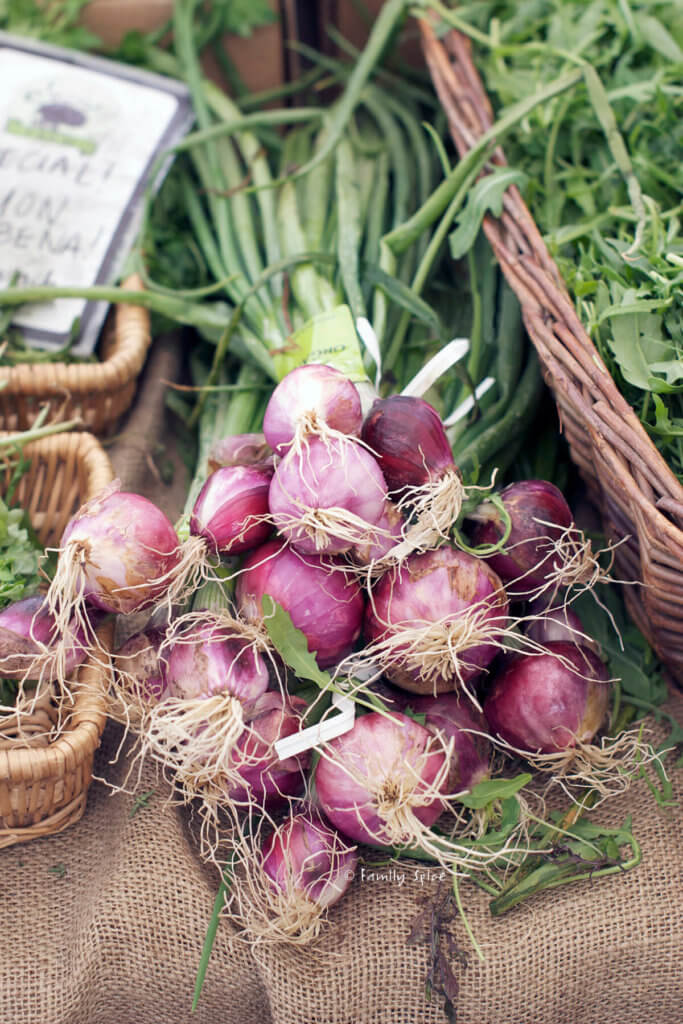 Side view of red onions with greens attached at a farmers market