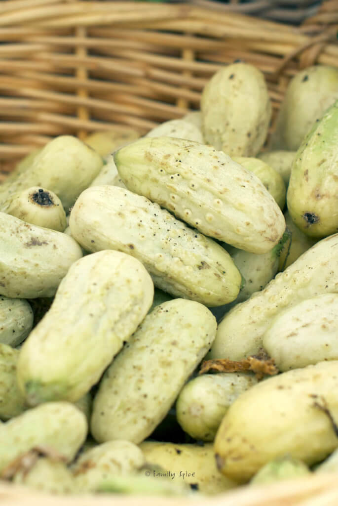 Small white cucumbers in a basket