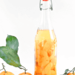 pinterest image for orange infused vodka by FamilySpice.com