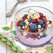 Pomegranate Yogurt Parfait with Blueberries by FamilySpice.com