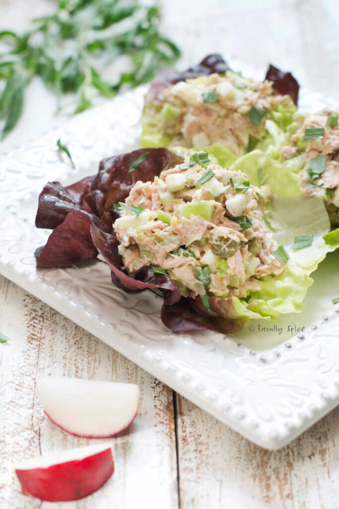 Tuna egg salad in lettuce cups of baby red lettuce