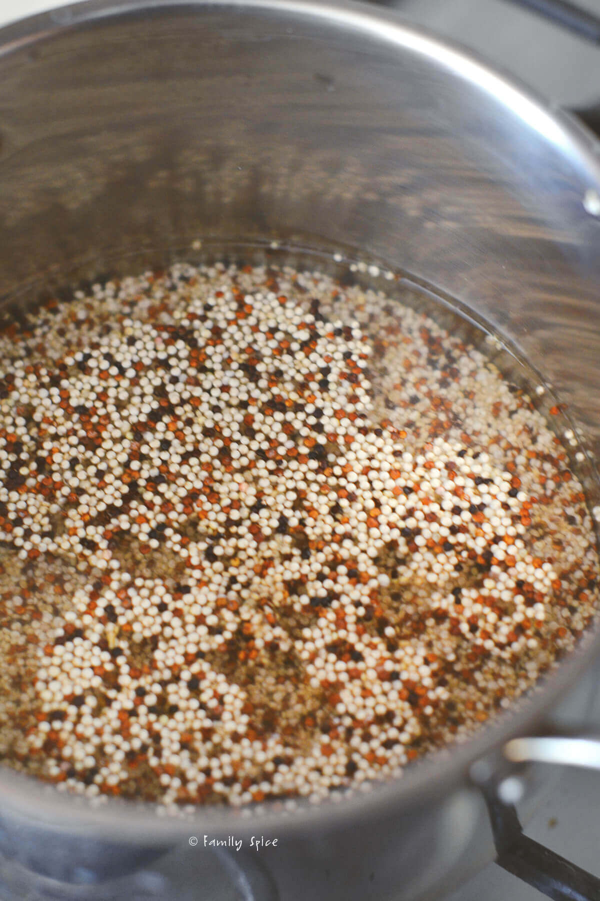 multi colored quinoa in a pot with water