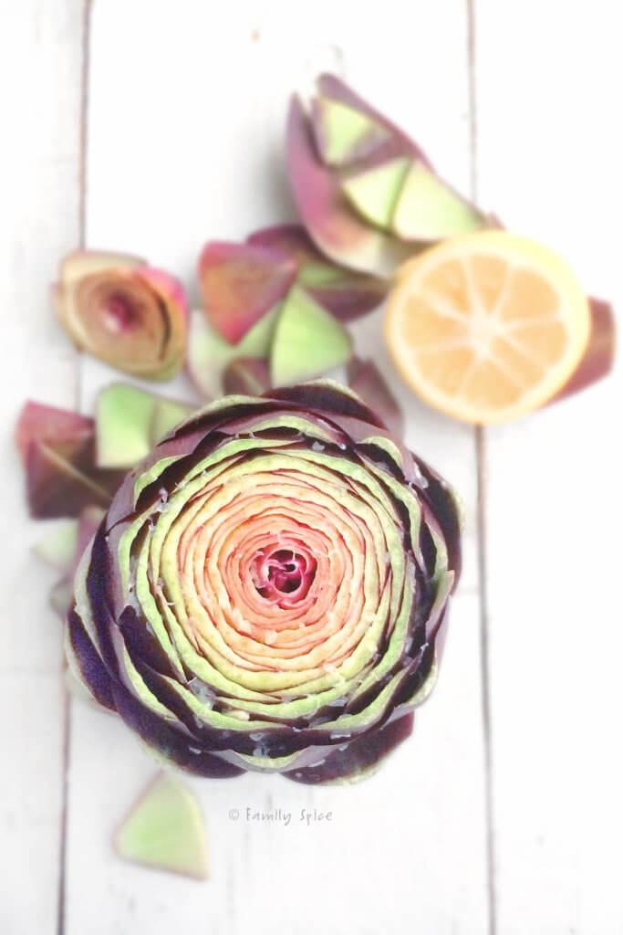 Top view of a purple artichokes with the top cut off with some leaves and lemons next to it on a white surface
