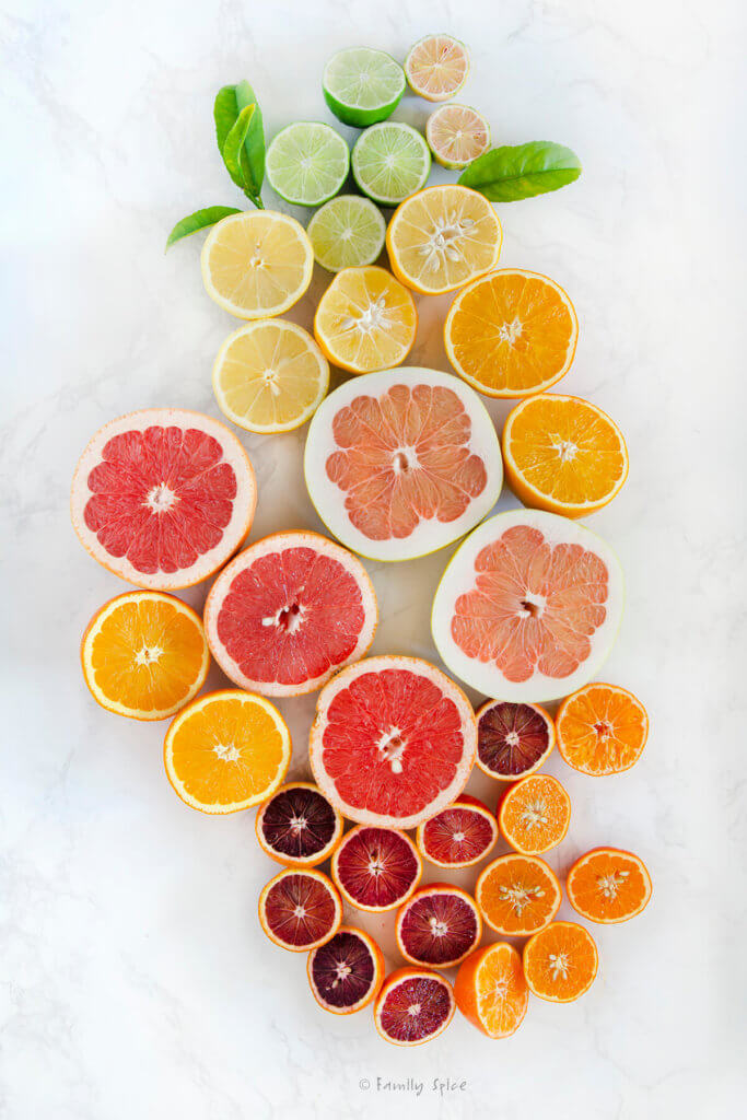 Citrus fruits cut in half on a white background going from limes to lemons, oranges, pomelos, grapefruits, blood oranges and tangerines