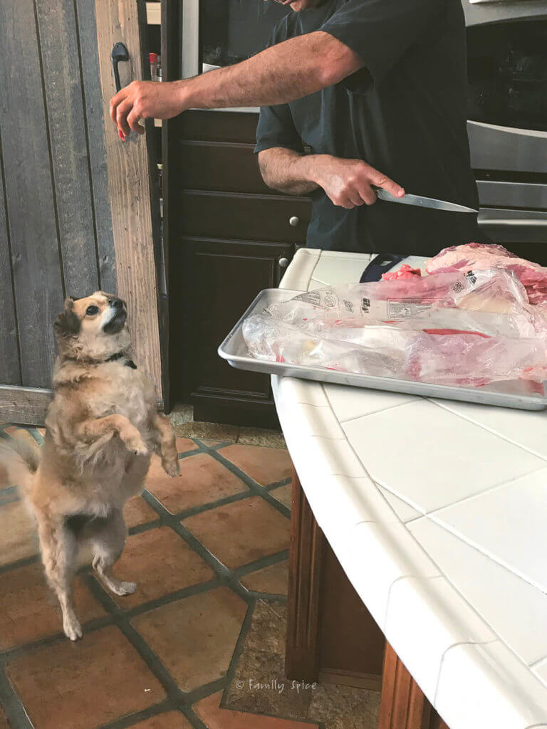 Dog begging while man trims a beef brisket