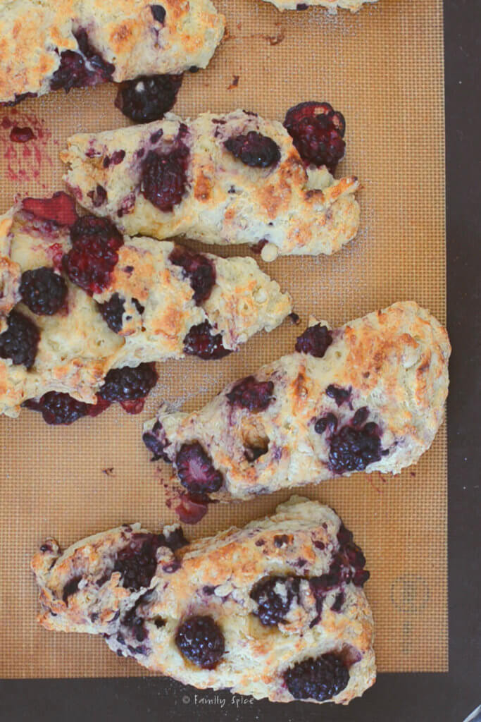 Blackberry scones baked on a silicone mat lined baking sheet
