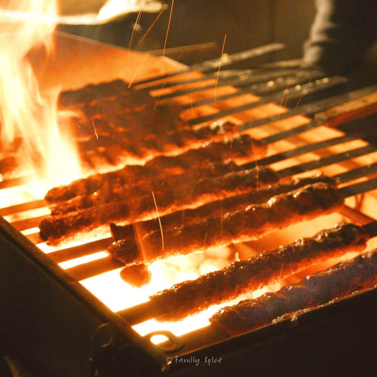 Grilling Persian Ground Beef Kabob (kebab koobideh) 