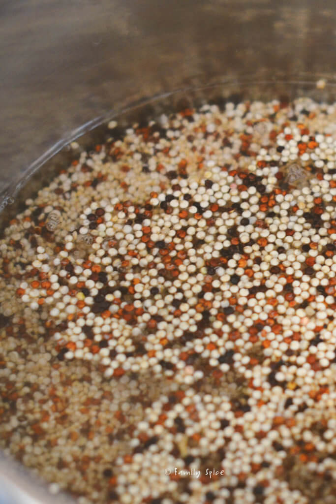 Tri colored quinoa in a pot with water ready to cook