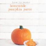 How to Make Homemade Pumpkin Puree by FamilySpice.com