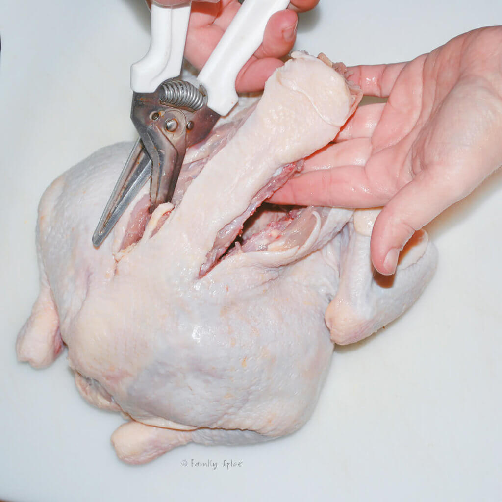 Using kitchen shears to remove the backbone from a raw whole chicken