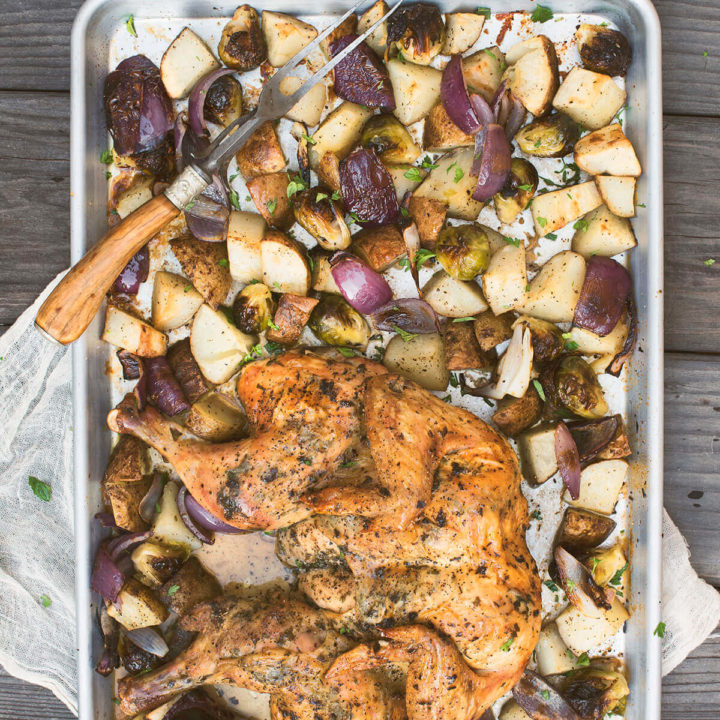 Top view of a baking sheet with a spatchcocked chicken roasted with potatoes, red onions and Brussels sprouts