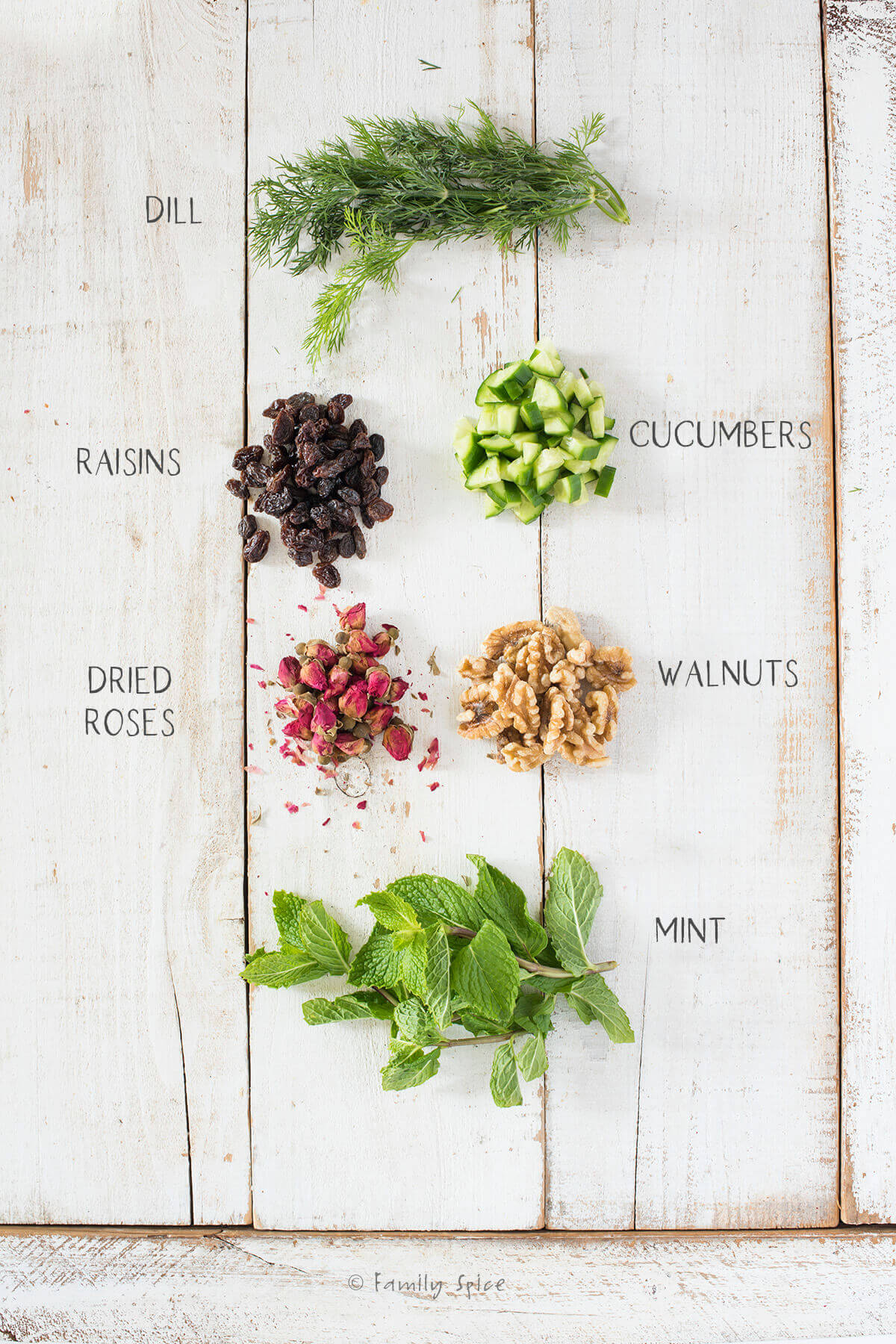 Ingredients labeled and needed to make ab doogh khiar (Perisan yogurt soup)