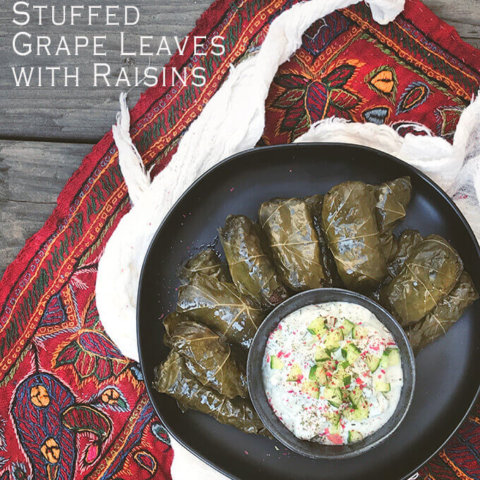 Overhead shot of a plate full of Persian dolma (or dolmeh/dolmades), stuffed grape leaves with a bowl of yogurt dip - FamilySpice.com