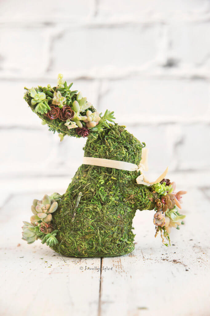 A moss covered bunny studded with mini succulents