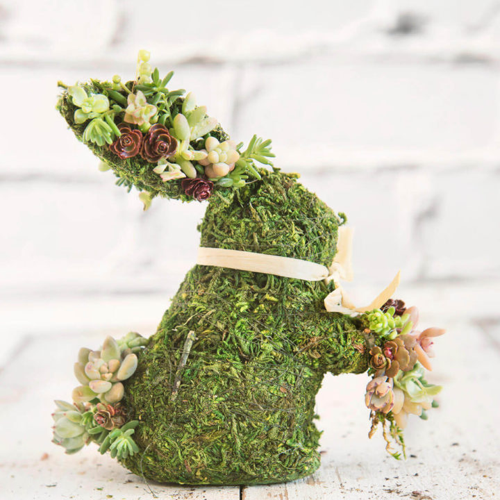 A moss covered bunny studded with mini succulents